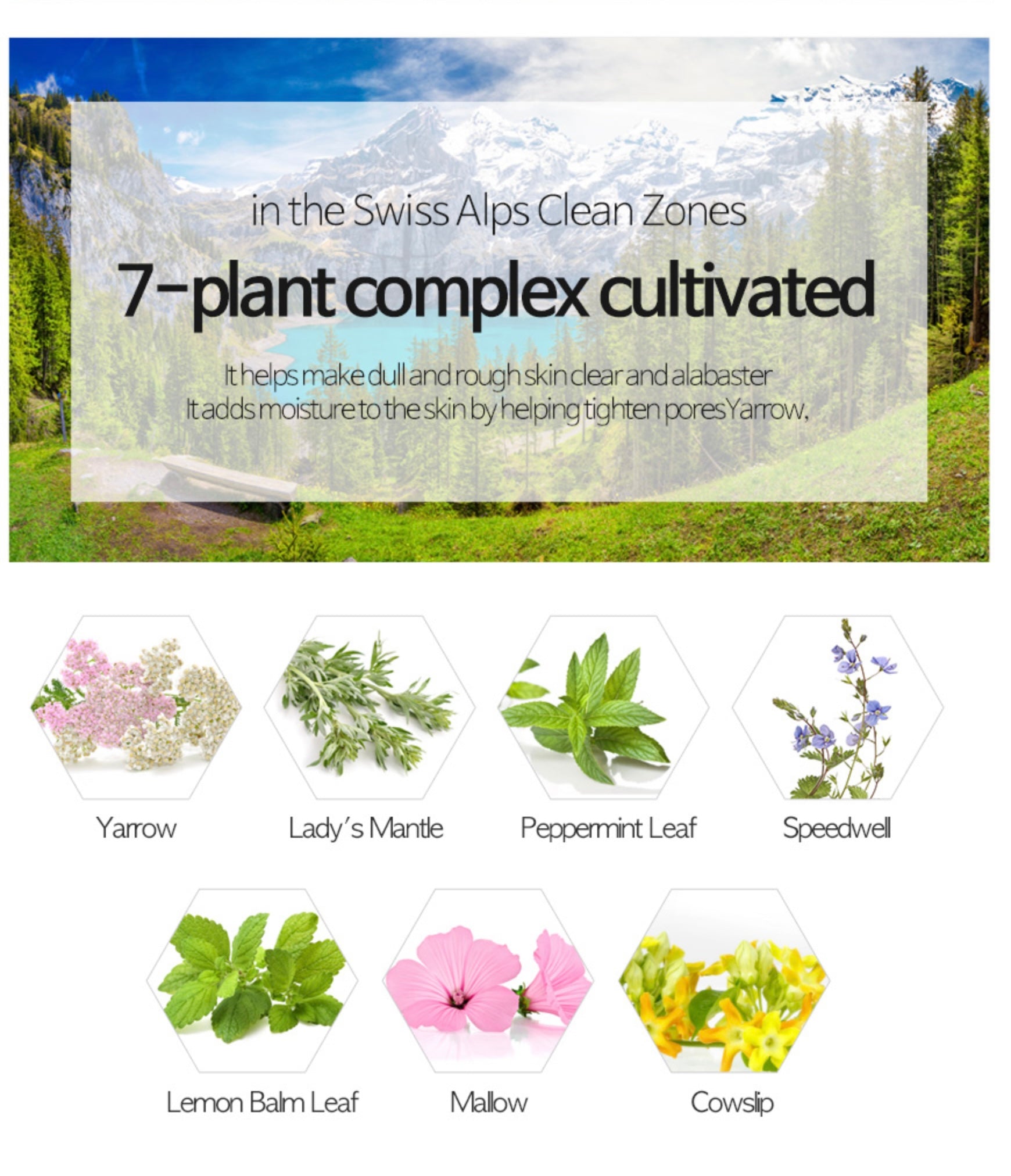 BEICOS - Peptide Honey Tone-up Cream 2X (50g) image 4