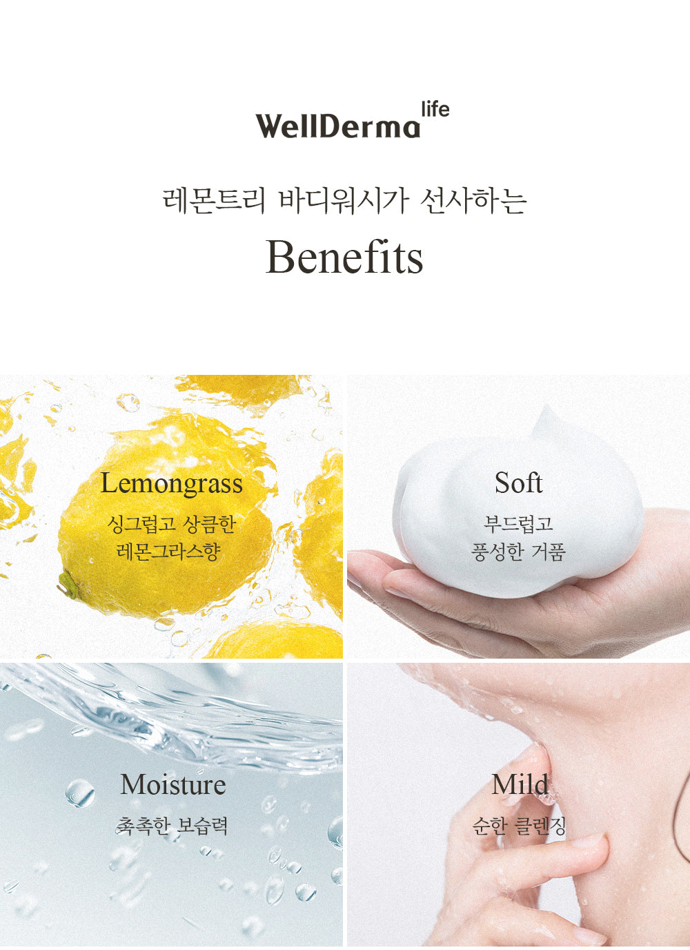 WellDerma - LEMON TREE BODY WASH (1000ml) image 5