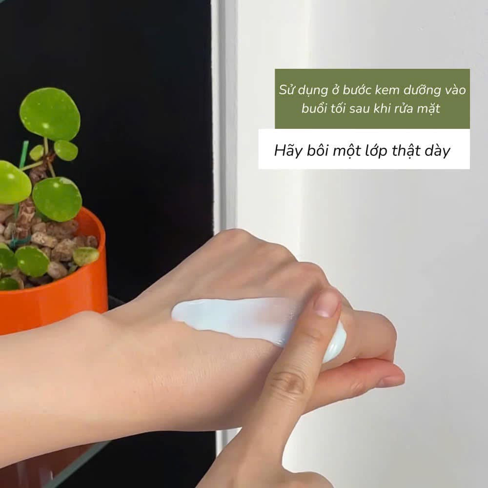 NOLA - SLEEP & PEEL NIGHT CREAM (50ml) image 3